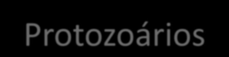 Protozoários Ciliados É o grupo mais altamente especializado. Apresentam cílios, cirros e membranelas.