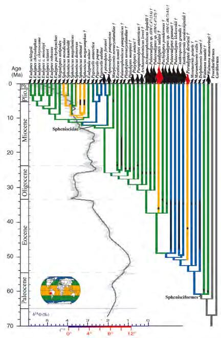 fósseis representados pelas barras pretas indicam as