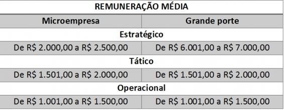 A pesquisa buscou identificar também qual a remuneração média adotada pelas duas empresas aos profissionais que atuam nos três níveis hierárquicos, conforme tabela 2.