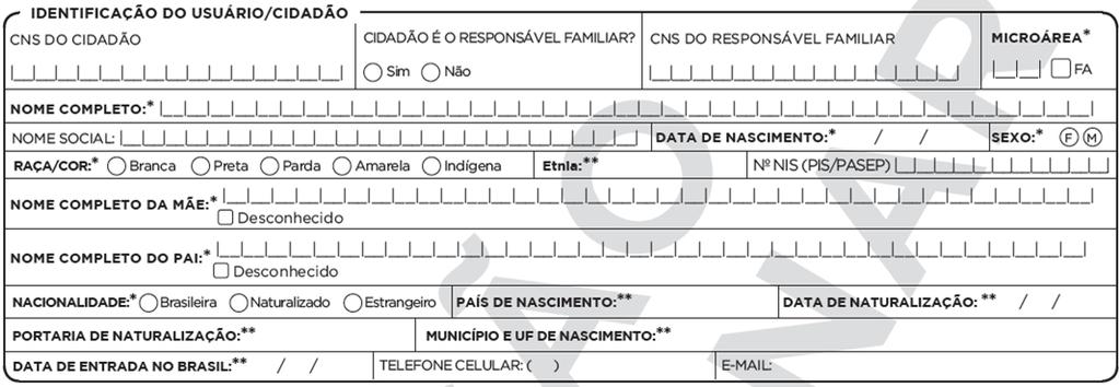 Cadastro Individual Mudança e padronização do cabeçalho Inclusão do nome completo do pai Inclusão do campo: etnia, quando a raça/cor for indígena