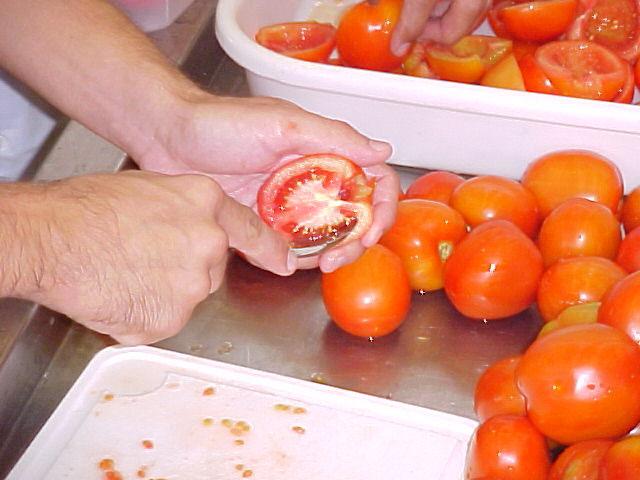 vestuário apropriado durante todo o processamento. Os tomates são divididos ao meio longitudinalmente.