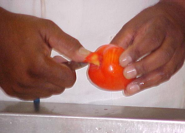 14 Manual para a Produção em Pequena Escala de Conserva de Tomate Desidratado Acabamento A parte