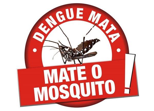 O verão acabou, mas a luta contra o mosquito Aedes aegypti está longe de terminar.