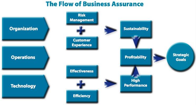 The Key: Business Assurance The goal is not to standardize the business to the point of losing