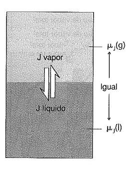 Descrição termodinâmica de misturas Aula 3 Podemos observar que a Lei de Raoult é válida apenas nas regiões em que o solvente está em excesso.