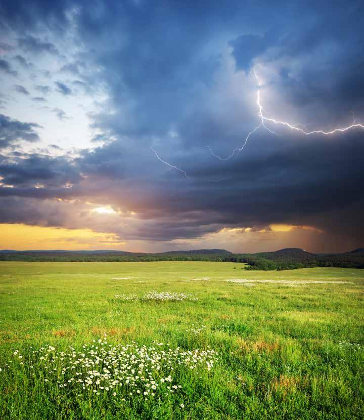 Em dias de chuva, temporais e fortes ventanias, é comum que galhos de árvores interfiram na rede elétrica, danificando os fios e postes de energia.