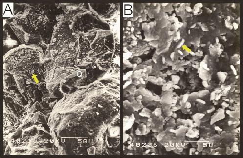 42 Figura 25. A) Cutículas argilosas cobrindo grãos (MEV). B) Cristais lamelares de clorita substituindo cutícula argilosa (MEV). 5.3.