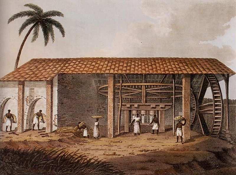Sonhavam em se enriquecer rapidamente. Foi a primeira riqueza extraída do território brasileiro pelos portugueses.