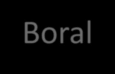 Boral: dinâmica sobre a palha, inclusive em períodos secos. Retenção: 20%; Fotodecomposição: ao redor de 0,5% ao dia.