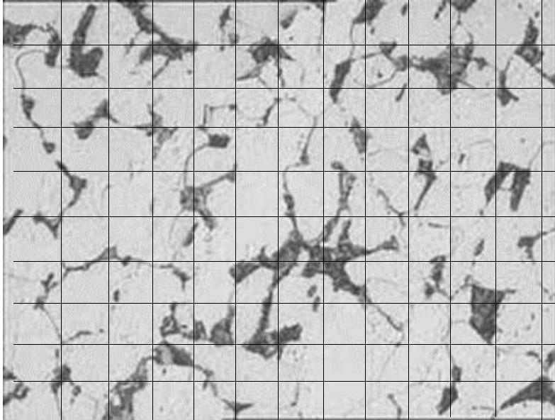 3. A partir da microestrutura do aço apresentada a seguir, determine a sua composição química (a região escura tem morfologia lamelar e a fase branca é ferrita).