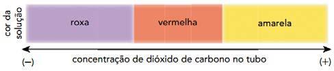 5. (UFPR) O gráfico abaixo representa o resultado de um experimento em que foi medida a velocidade da fotossíntese em função da temperatura na folha de um vegetal mantida sob iluminação constante.