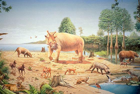 (Evolução) Morrem os Dinossauros - Mamíferos dominam a Terra! A partir de 65 Ma atrás Mamíferos começam a dominar o planeta.