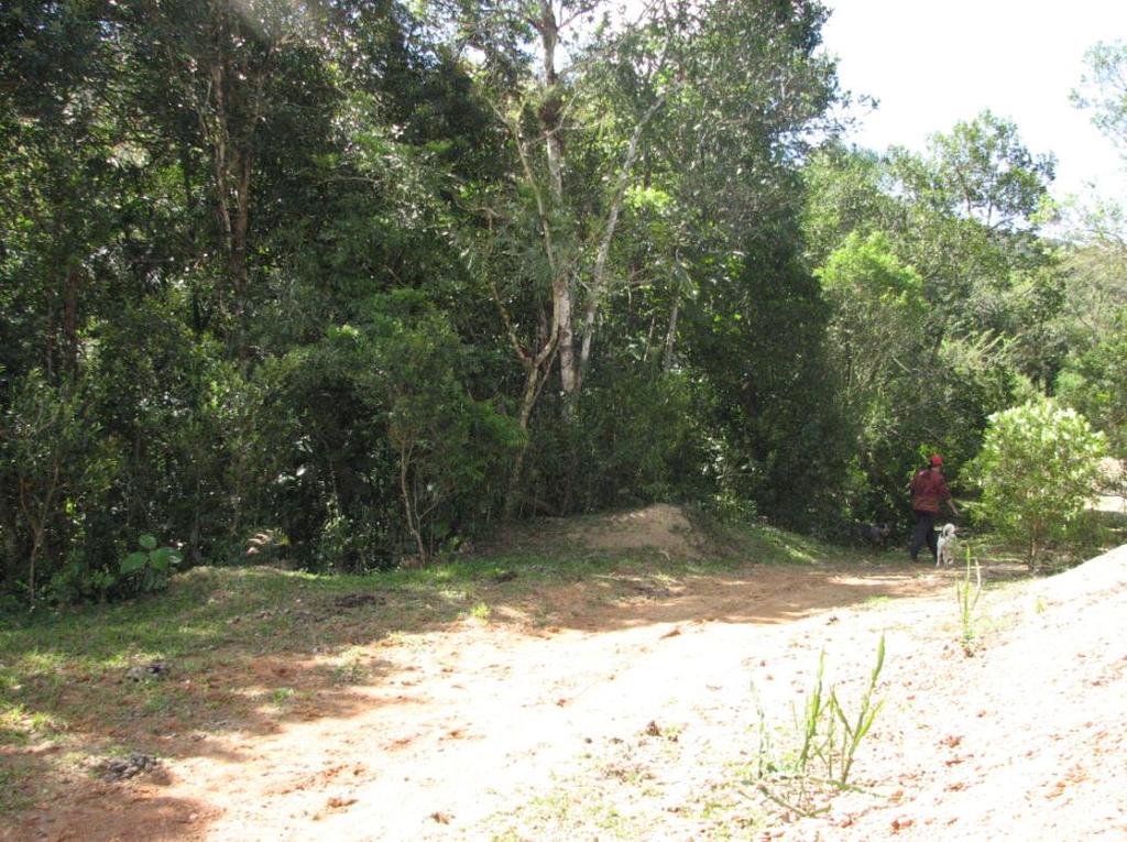 16 Figura 2 - Detelhe lateral da Fazenda Vale do Paraíso, município de Nova Veneza, Santa Catarina, Brasil. Foto: Dalmolim (2010).