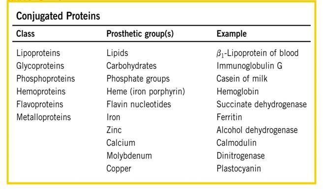 Níveis de estrutura proteica Quatro níveis de estrutura proteica são normalmente definidos: Estrutura primária sequência dos resíduos de aminoácido.