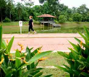 plantas ornamentais, visando ampliar o programa de permuta com a sociedade; Plantação de mais de 9 mil árvores e poda de mais de 10 mil árvores nos espaços públicos municipais para manter a