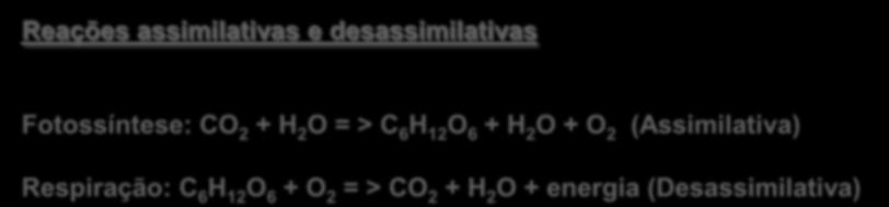 + O 2 (Assimilativa) Respiração: C 6 H 12 O 6 + O 2 = > CO 2 + H 2 O + energia (Desassimilativa) Reações transformadoras de energia