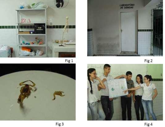 Na figura 1 Mostra a imagem de alguns dos trabalhos realizados pelos alunos que farão parte do material do laboratório e que poderão ser utilizado pelos alunos que virão.