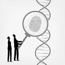 Roteiro Introdução Estrutura do DNA (1ª, 2ª e 3ª) Enzimas aminoacil trna sintetase Encontro e ligação do