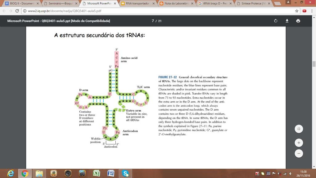 Estrutura Secundária Comum a maioria: - 4 troncos de bases pareadas - - Folha de trevo Terminal 5 sempre fosforilado (PG) Resíduo de Adenosina aceptor de aminoácido Caule CCA - para