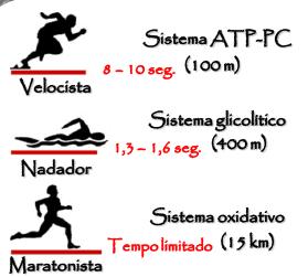 Contudo, o aparelho cardiorespiratório necessita de algum tempo para se adaptar completamente às