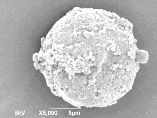 A, que mostra uma microesfera de goma guar não reticulada, permite dizer que tal partícula tem uma superfície altamente rugosa, que pode ser