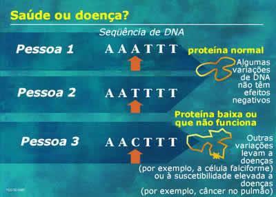 com que cada um de nós seja diferente e único, apesar de