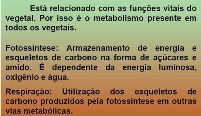 Metabolismo Vegetal Metabolismo
