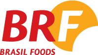 BRF- Brasil Foods Resultados 4T10 e 2010 Março