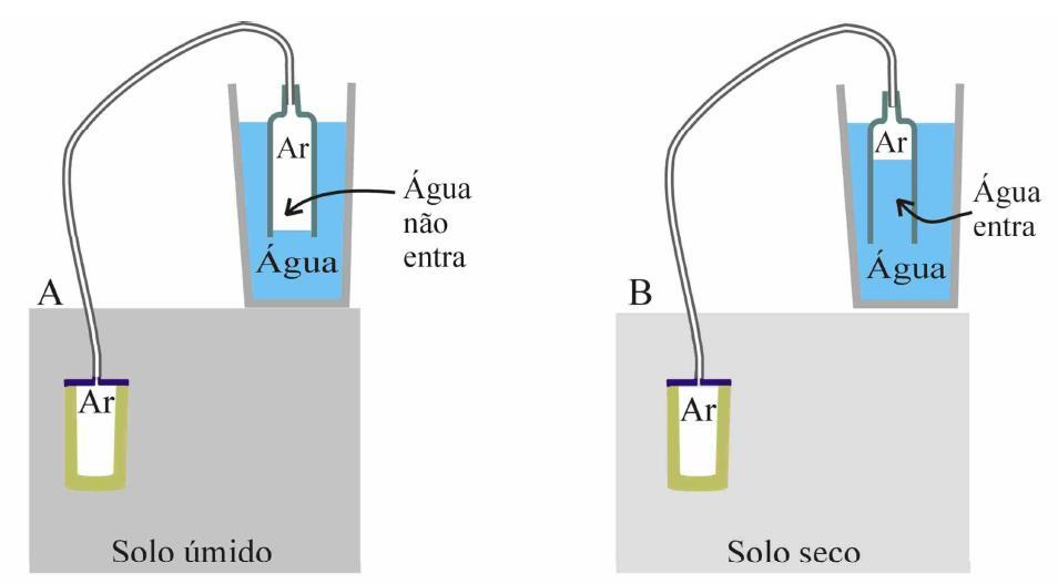 2 Uso de Sensores Irrigas para o Manejo da Água na Produção de Uvas de Mesa no Noroeste Paulista Fig. 2. Sensor do tipo Irrigas (Fonte: Portal Embrapa. Foto: BARROS, Beatriz Ferreira da Cruz). Fig. 4.