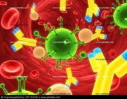 Imunidade adquirida Desencadeada após a estimulação direta ou indireta dos