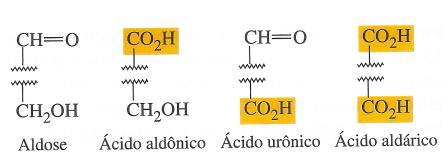 Oxidação Os monossacarídeos são oxidados a ácidos carboxílicos.