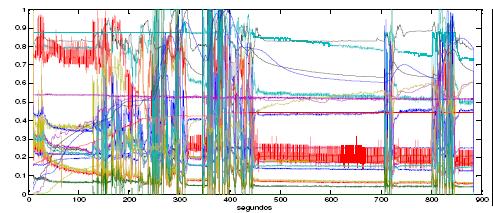 4. Exemplo (I) Controle de Qualidade Classificação Automática usando Ressonância Magnética e RNA Classificar de maneira não-invasiva as peças de carne (Sexo e Grupo Genético).