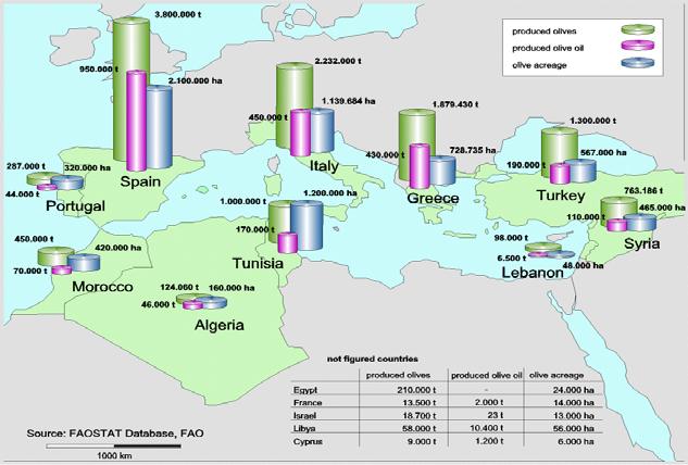 Mediterrâneo: Espanha, Itália, Grécia (os maiores produtores mundiais) Turquia, Tunísia, Síria, Marrocos, Portugal José