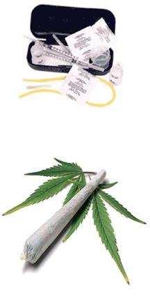 Mudanças legais na legislação de drogas: V) Uso terapêutico da Maconha (Modelo da Califórnia) autorização de plantio