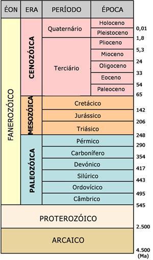 Essa fase corresponde a apenas os 15% mais recentes do tempo geológico, mas foi responsável por quase todo o registro paleontológico de