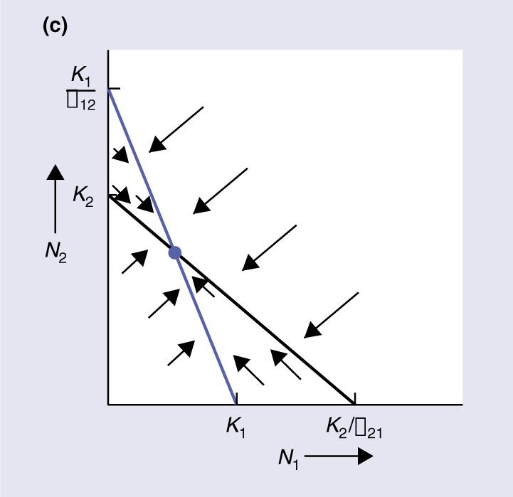 para sp dn K = r N dt N αn K K /α dn /dt < 0 N = 0 dn dt = r N K N αn K dn /dt > 0 N isolinha de crescimento zero K Para saber o resultado da