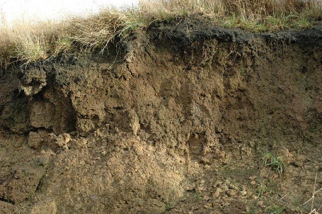 Solo humífero Imagem: A soil profile on Kilner Bank - geograph.org.uk 92677/ Chris Yeates/ Creative Commons Atribuição-Partilha nos Termos da Mesma Licença 2.