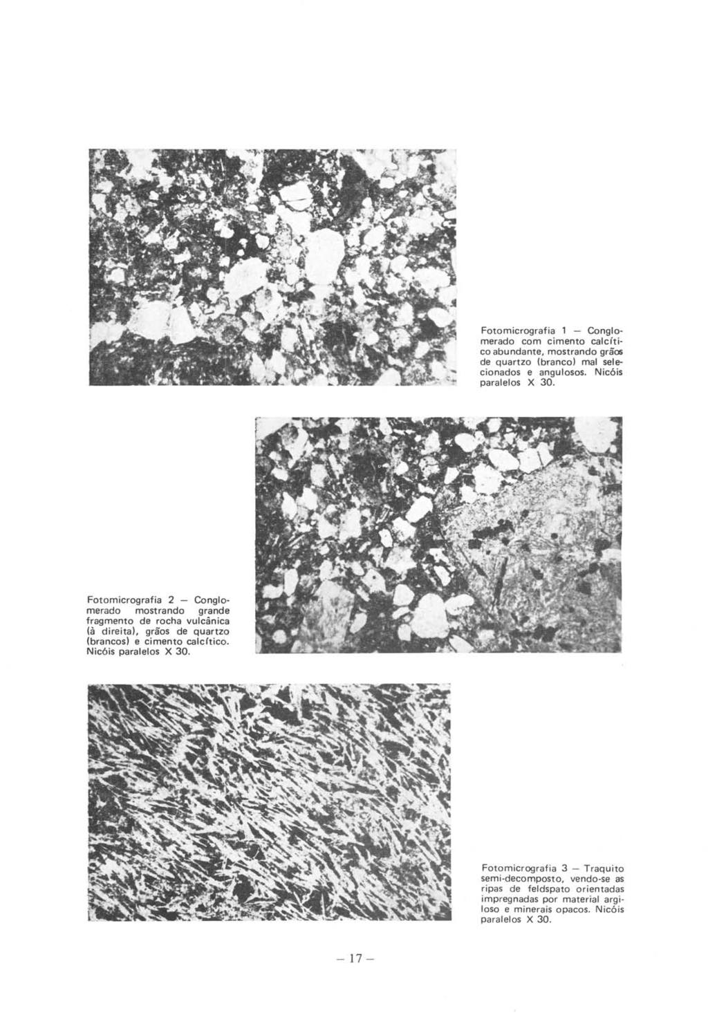 Fotomicrografia 1 - Conglomerado com cimento cal cít i co abundante, mostrando grãos de quartzo (branco) mal selecionados e angulosos. Nicóis paralelos X 30.