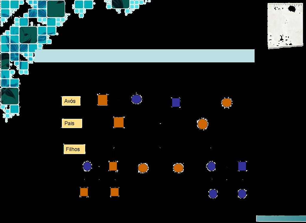 ÁRVORES GENEALÓGICAS São esquemas / diagramas que evidenciam a transmissão de uma