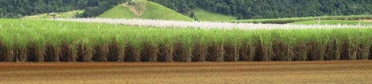 Modelo de Negócios Lease yield Montante pago pelos operadores (fixo ou atrelado ao preço das commodities) Valorização da terra