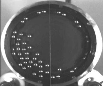 esferas estivesse aderida à parede interna do moinho no espaçamento entre os suspensores (Watanabe, 1999).