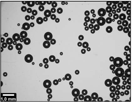 Diâmetro de bolha, µm Freqüência, % 20 15 10 5 0 50 150 250 350 450 550
