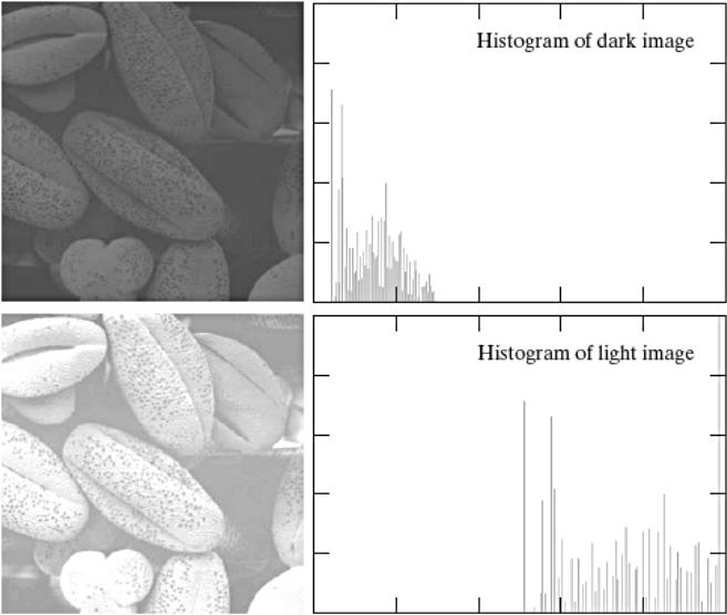 Histograma Histogramas Permite entender a distribuição da intensidade/cor e comparar com