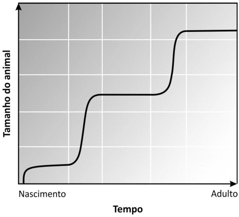 b) relacione canguru e marsúpio. Questão 12) Questão 13) O rígido exoesqueleto dos artrópodes é periodicamente substituído para que seu corpo possa crescer.