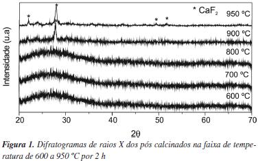 Cristalino Amorfo http://www.scielo.br/scielo.php?