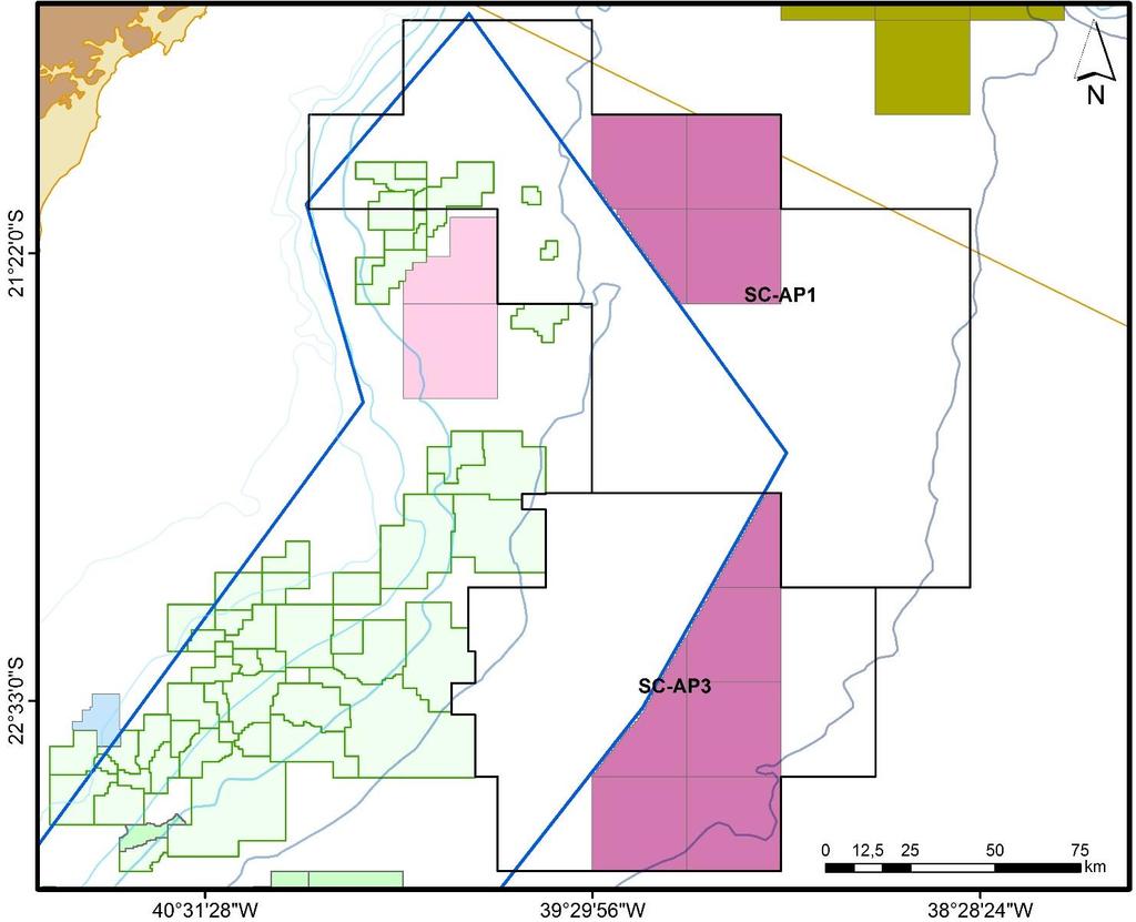 Bacia de Campos 10 blocos em Oferta Área Total ~5.500 km² Área por bloco ~700 km² Águas profundas e ultra profundas (Lâmina d'água > 2.