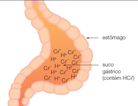 secreta HCl, num volume aproximado de 100