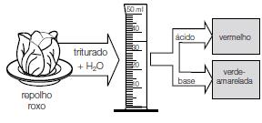 19) Faça a associação correta: I soda cáustica I Ajax Fúria III cal apagada IV leite de magnésia A Ca(OH) 2 B NH 4 OH C Mg(OH) 2 D NaOH 20) Considere o seguinte esquema: