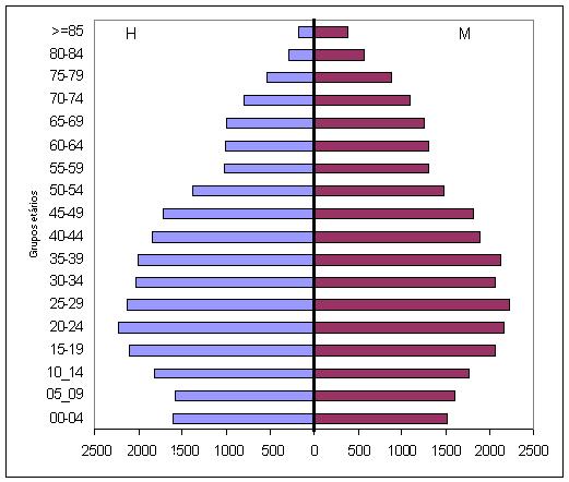 Quadro n 1 Distribuição da população Por sexo e grupos etários Censos 2001 Idades Homens Mulheres Total % 00-04 1616 1519 3135 5,95 05_09 1579 1595 3174 6,03 10_14 1821 1756 3577 6,79 15-19 2102 2056