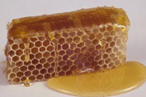 49 50 Classificação do mel origem Mel floral Classificação do mel obtenção do favo Mel escorrido unifloral ou